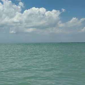 Meet your Posher, Cathy